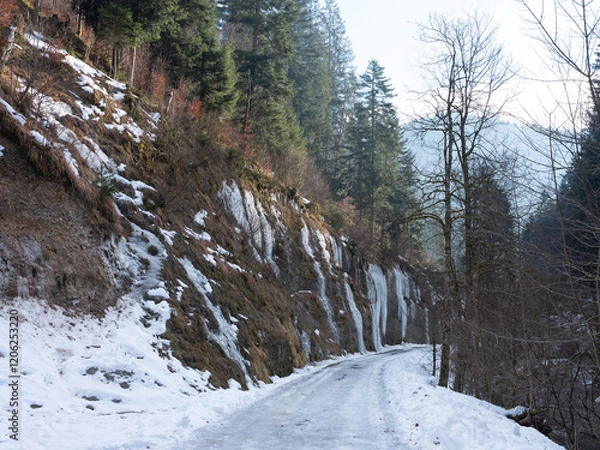 Obraz Eiszapfen im Winter am Bach