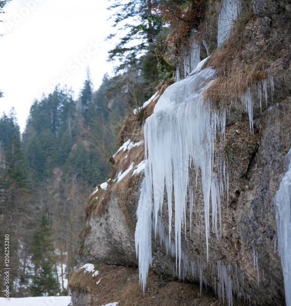 Obraz Eiszapfen im Winter am Bach