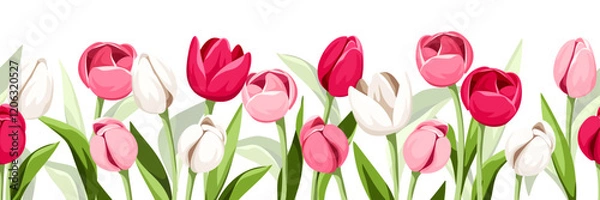 Fototapeta Horizontal seamless border with pink and white tulip flowers. Vector illustration