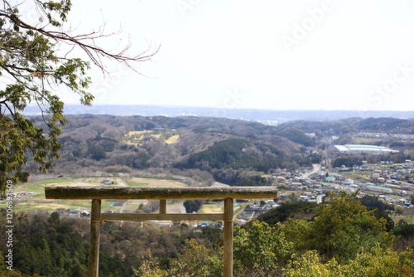 Fototapeta 高台に建つ鳥居