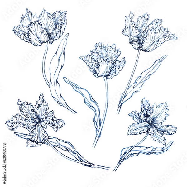 Fototapeta Set with blue tulip in vintage Toile de Jouy fabric style. Hand drawn monochrome watercolor painting, illustration isolated on white background