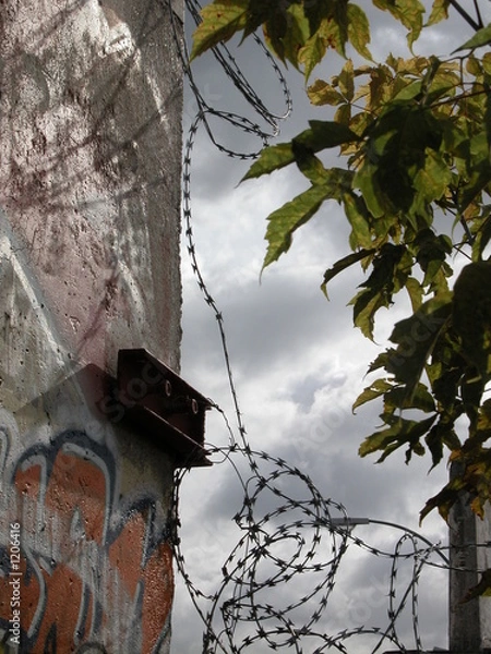 Obraz sad wall of berlin