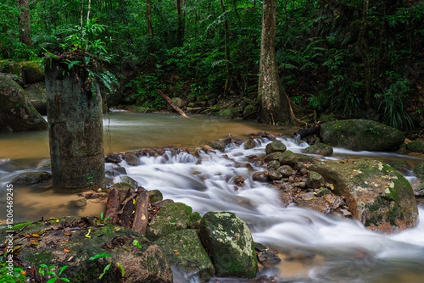 Obraz stream in the forest