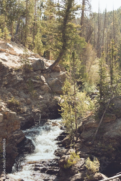 Obraz Adams Falls Waterfall Trail and Gorge Colorado