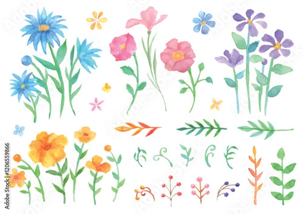 Fototapeta 水彩の優しいタッチの花と植物あしらいのセット