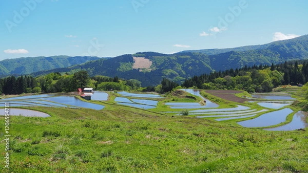 Fototapeta 養父市別宮の棚田の風景