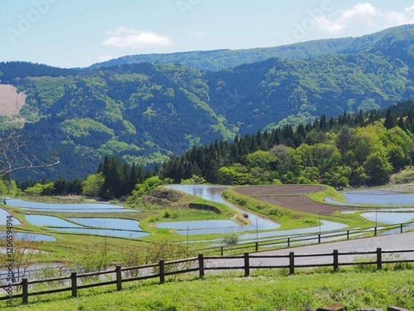 Obraz 養父市別宮の棚田の風景