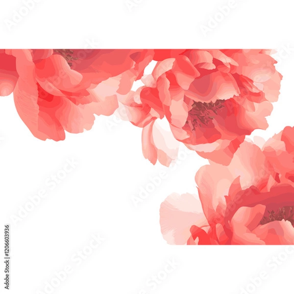 Obraz Peony border illustration background flowers vector