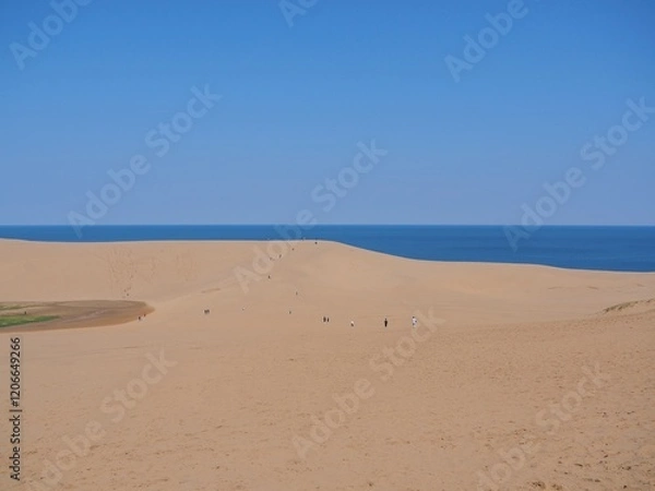 Fototapeta 砂丘の美しい風景