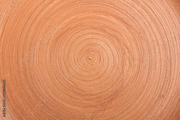 Obraz Clay pot texture