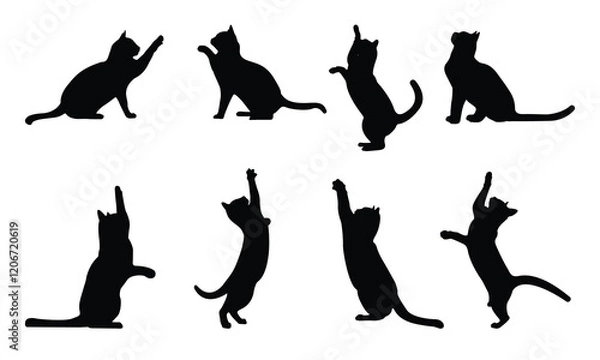 Fototapeta Set of silhouette cats in different poses. Isolated black cat on white background. Vector illustration of elements for design decoration.