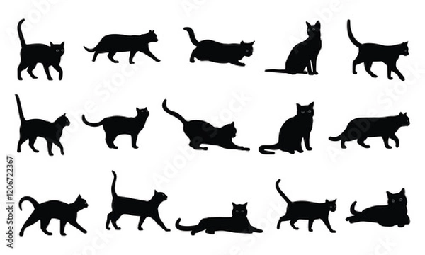 Fototapeta Set of silhouette cats in different poses. Isolated black cat on white background. Vector illustration of elements for design decoration.