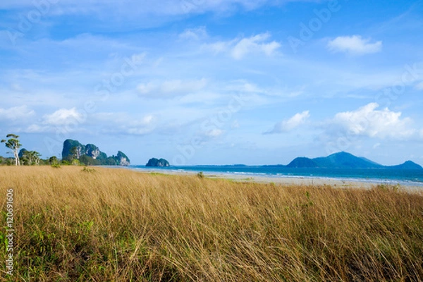 Fototapeta Savanna grasslands and tree, Thailand.