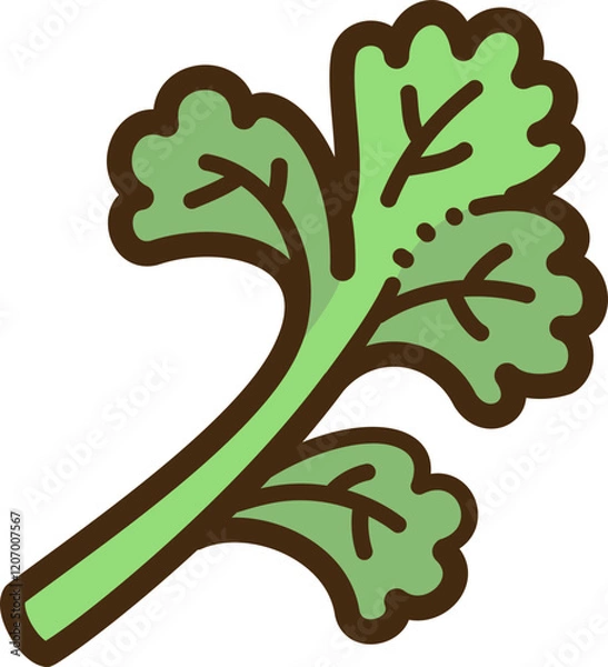 Obraz Celery vector doodle illustration and graphic