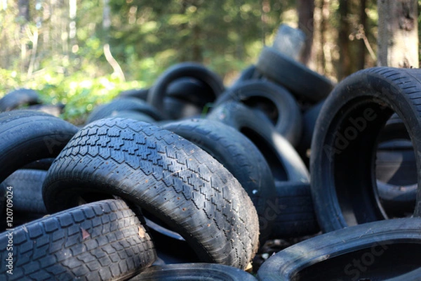 Fototapeta dump tirest in forest