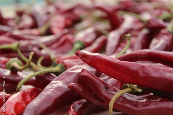 Fototapeta 건고추