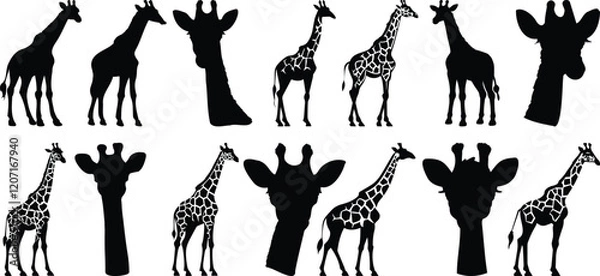 Fototapeta Giraffe silhouettes set, africa pack of vector silhouette design, isolated background