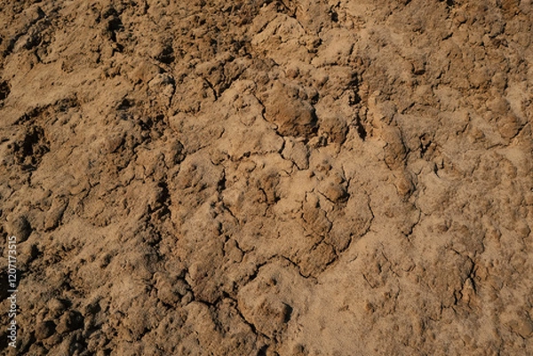 Fototapeta Soil texture background. Brown ground surface. Close up natural background