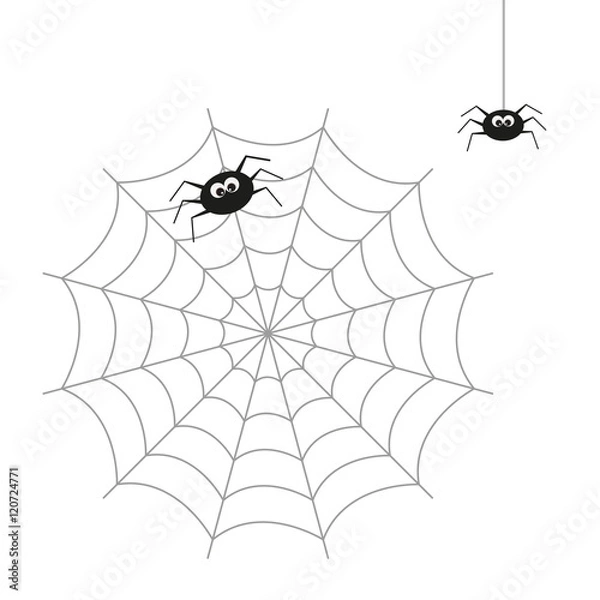 Fototapeta Vector illustration on the theme of insects.