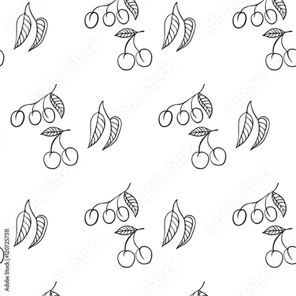 Fototapeta ZEBRA vector illustration on white background for tatoo, typography, t hirt, wall art, poster. Vector sketch.