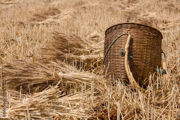 Obraz Ernte in Handarbeit