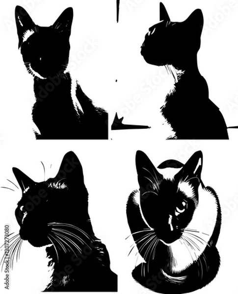 Obraz siamese cats sillhouette of siamese cats