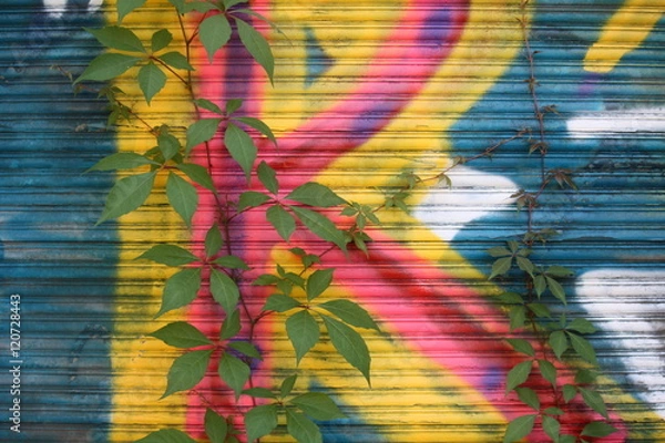 Obraz Farbe und Pflanze