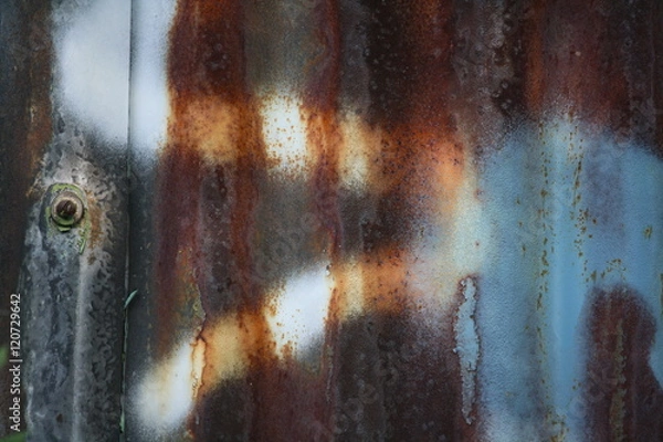 Obraz Farbe und Pflanze