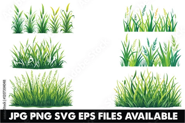 Obraz Grass Vector Clipart Bundle for Designs