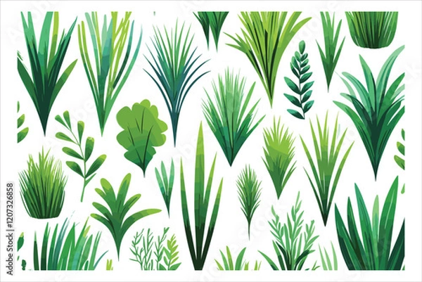 Obraz Grass Vector Clipart Collection