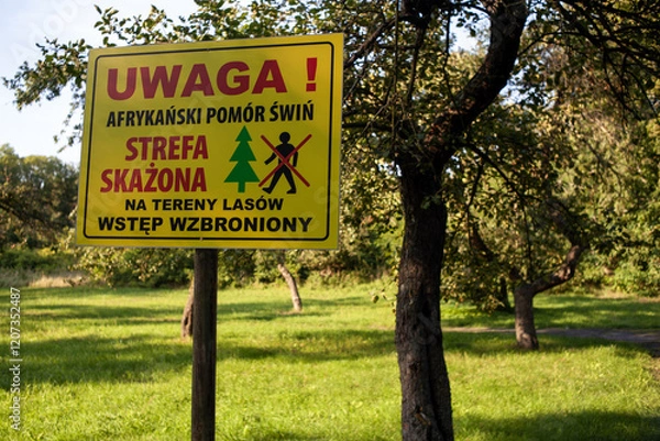 Obraz Informacja o wejściu do strefy skażonej afrykańskim pomorem świń