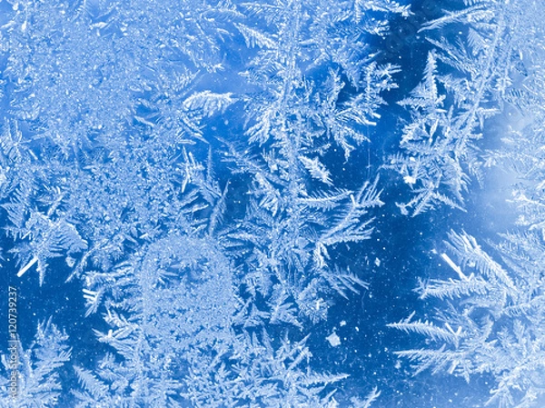 Obraz cold winter frost background