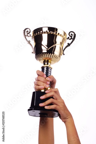 Obraz a hand holding a throphy