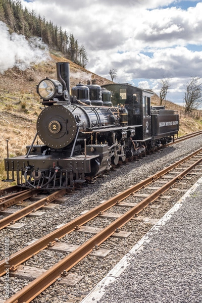 Obraz Mountain Railway
