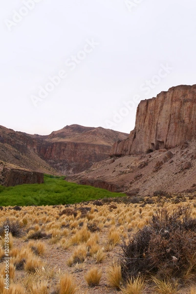 Fototapeta Vertical image of Vista on Rio Pinturas where famous rock paintings of handprints and animals are located. Location: Cueva de las Manos, UNESCO World Heritage Site, Patagonia, Argentina
