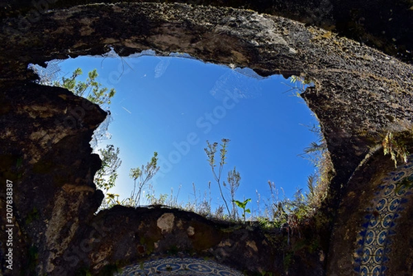 Fototapeta Weeds growing in ancient kiosk ruins, Teresopolis, Rio de Janeiro, Brazil
