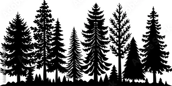 Fototapeta Coniferous Tree Silhouette Forest Illustration