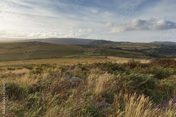 Fototapeta Dartmoor