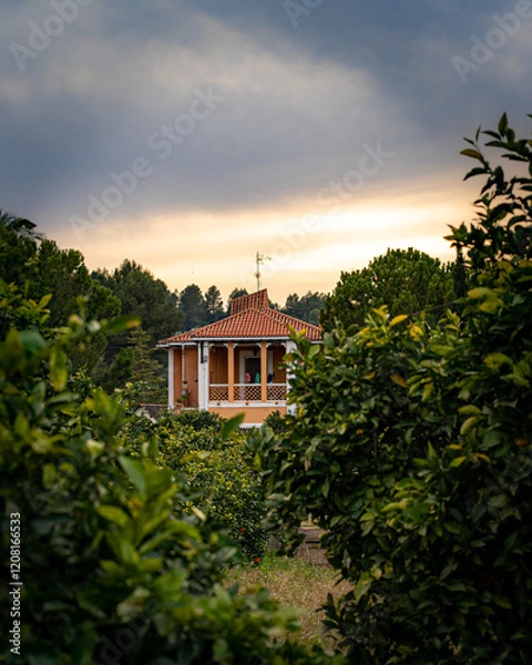 Obraz Houses in the mountain - Forest
