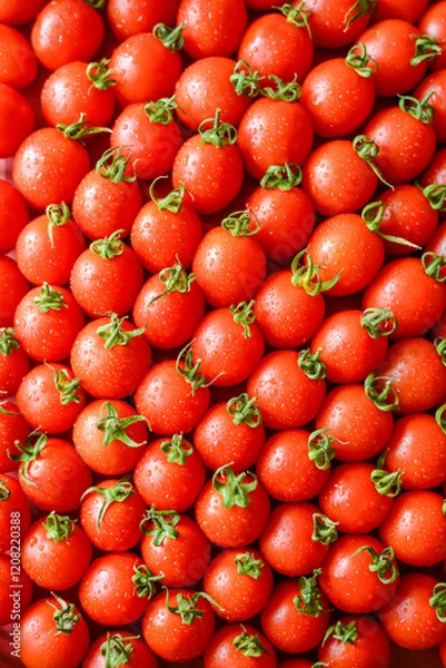 Fototapeta ripe juicy red tomatoes with leaves