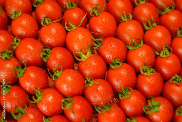 Fototapeta ripe juicy red tomatoes with leaves