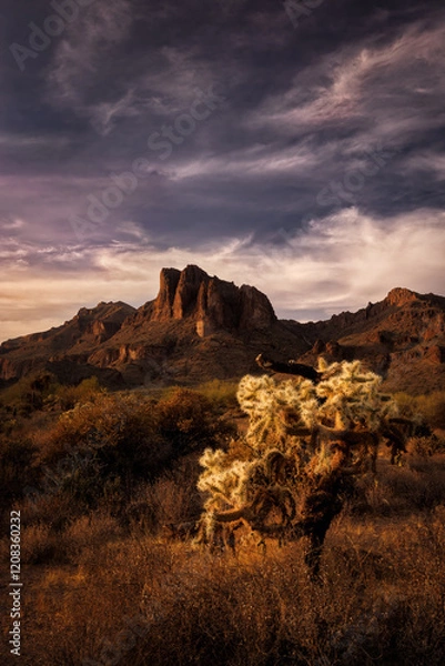 Fototapeta Jumping cholla, prickly pear, and saguaro cactus enjoy a sunset under the Superstition Mountains.