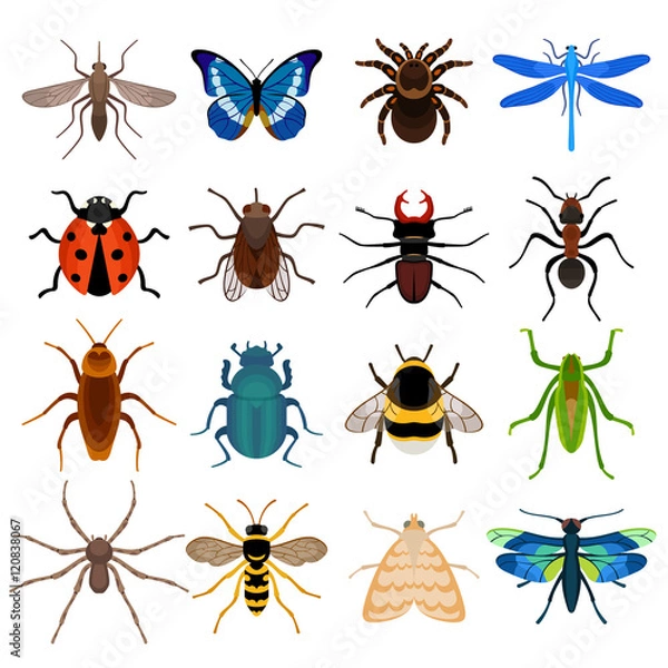 Fototapeta Insects icon set