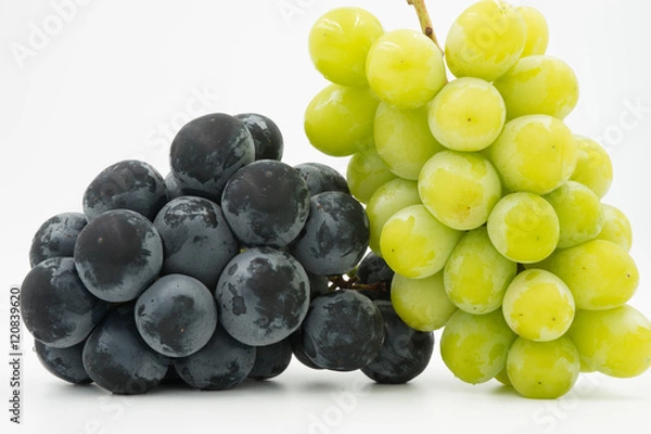 Fototapeta シャインマスカットとナガノパープル