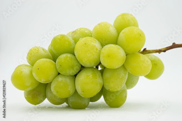 Obraz Grape,Shine Muscat