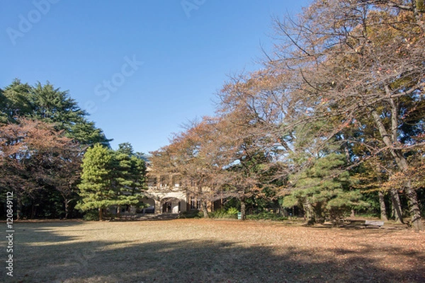 Fototapeta 駒場公園
