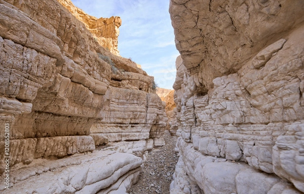 Fototapeta View inside a deep dry canyon in a remote desert region. High walls of a narrow canyon in the Negev Desert. Hiking trail in a heart of the desert.