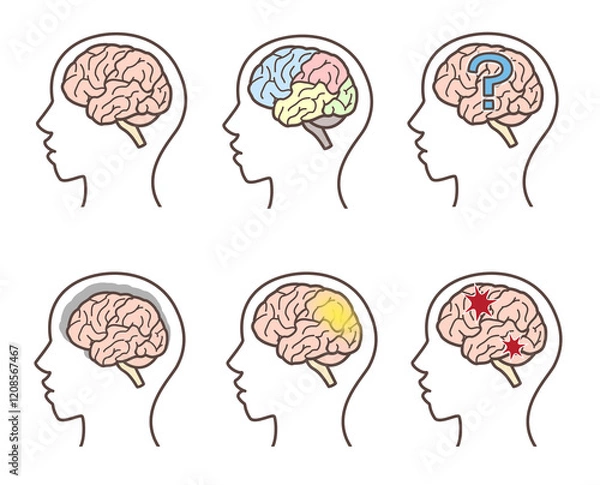 Obraz 脳のイラスト