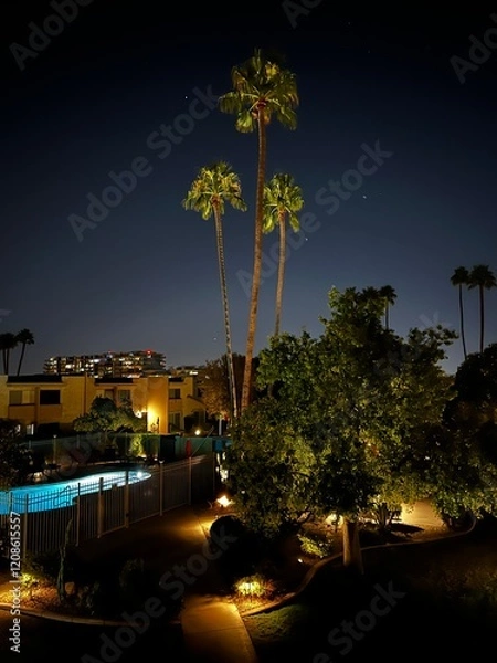Fototapeta Palm trees at night 