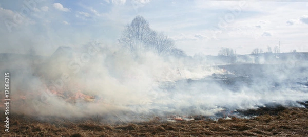 Obraz natural disaster